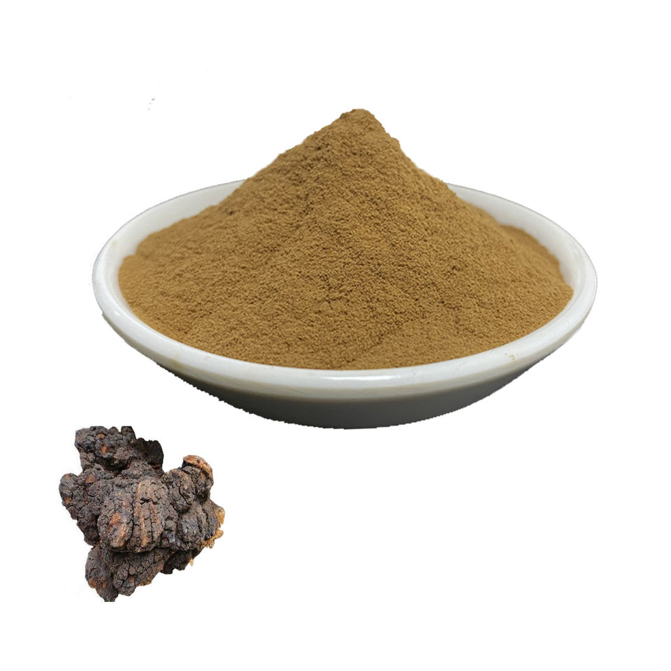 Chaga Mushroom Extract