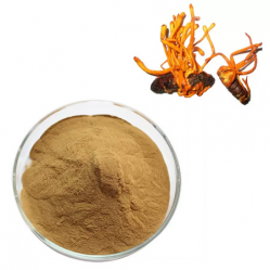 Cordyceps Extract