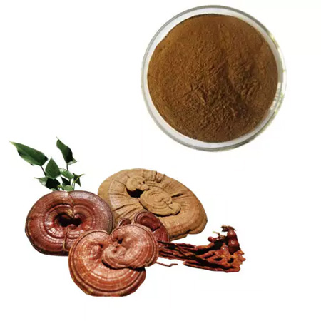 Ganoderma lucidum extract