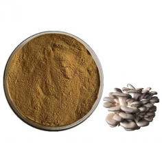 Pleurotus ostreatus extract