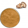 Shiitake Extract